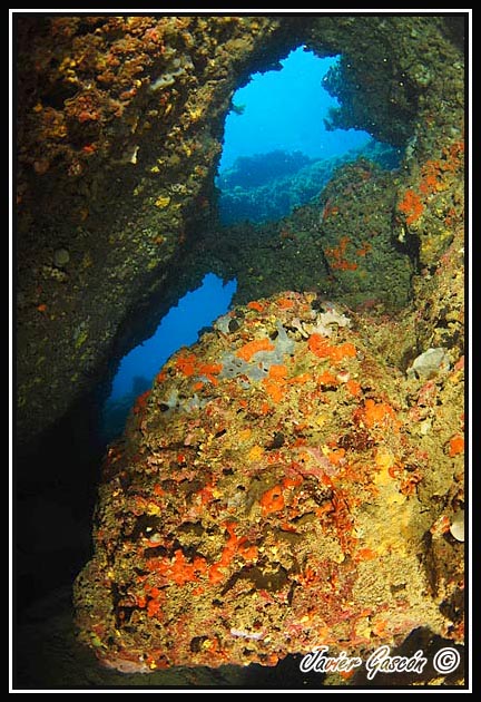 imagen submarina